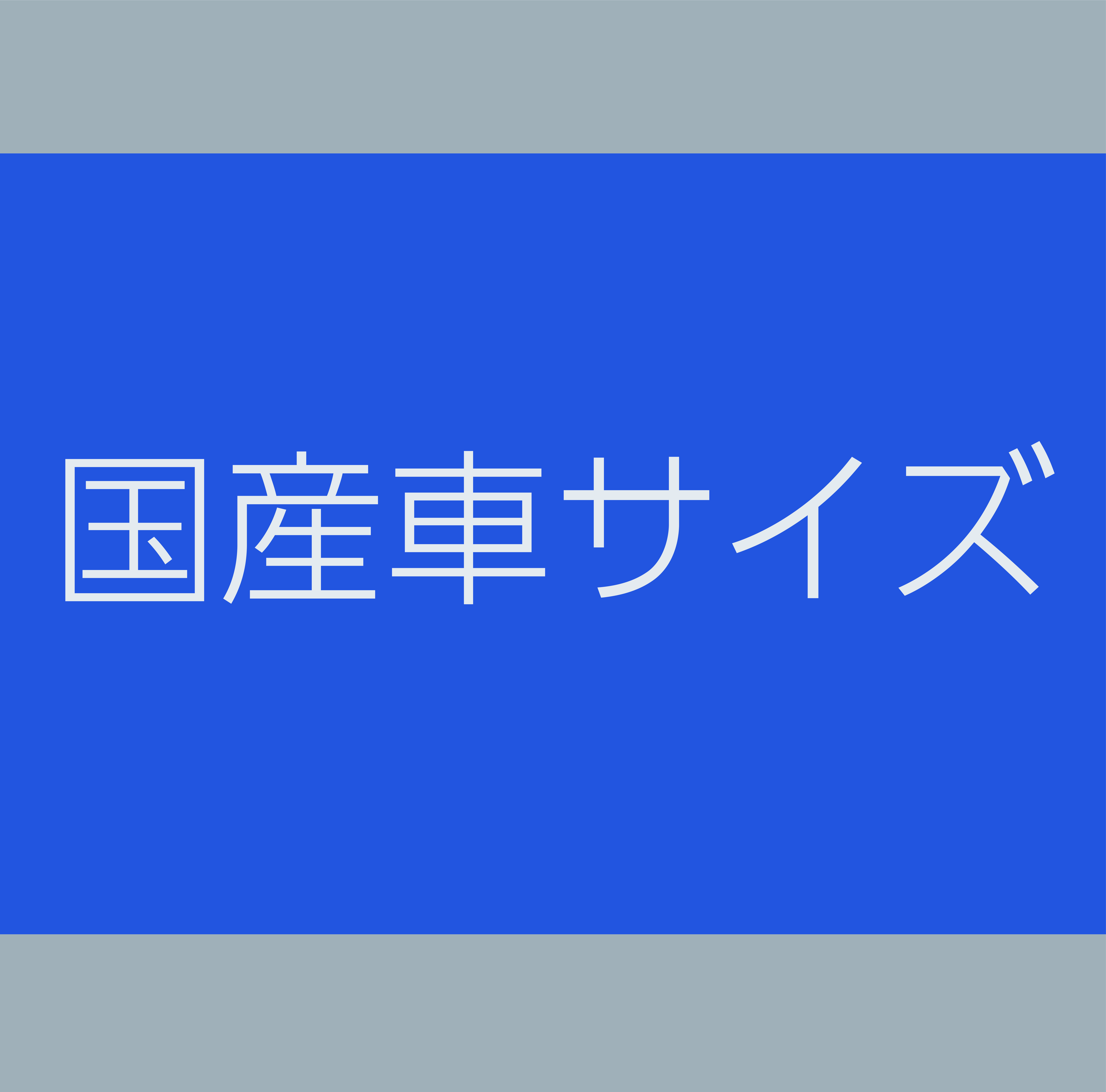 国産サイズ